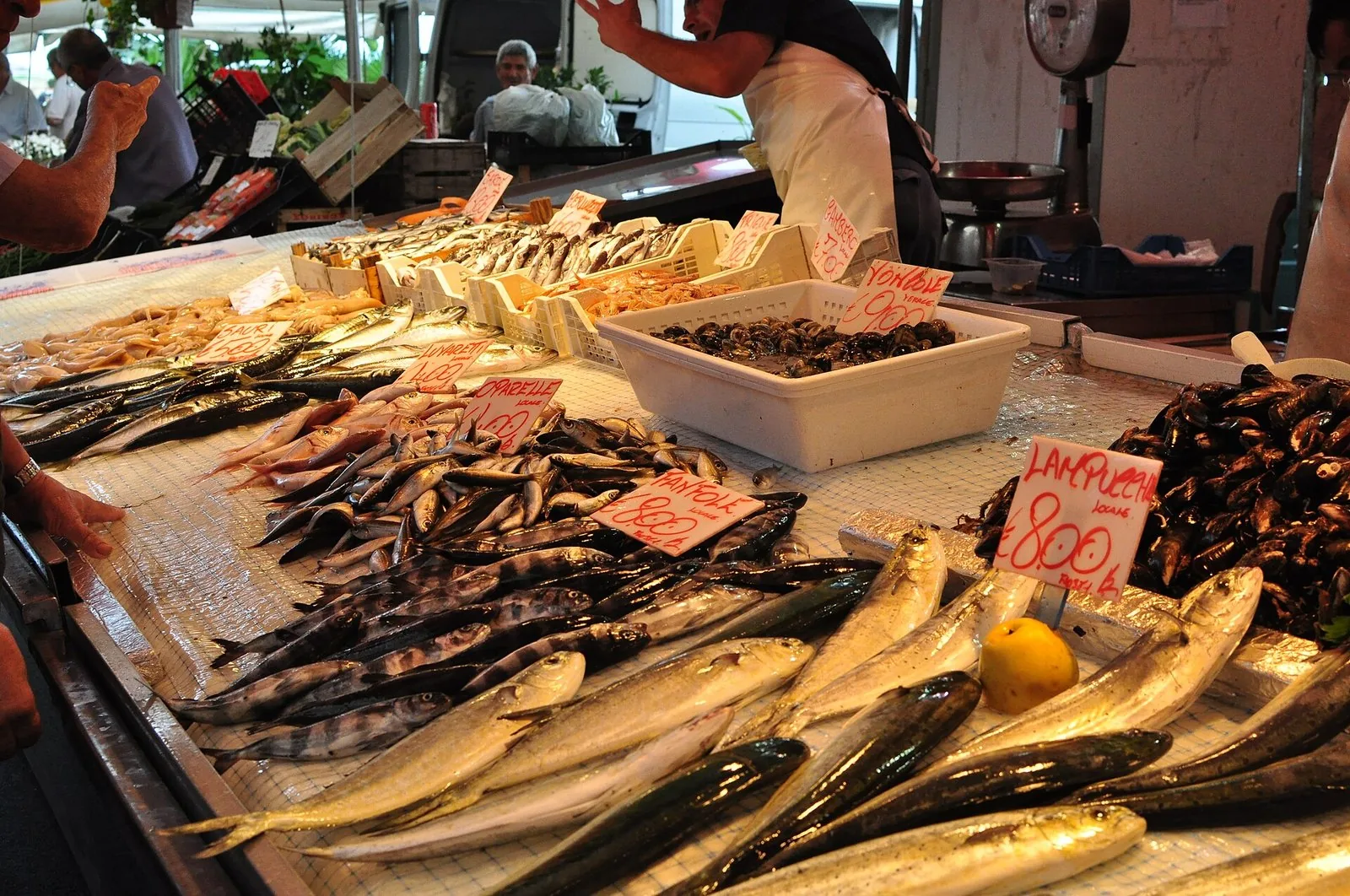 Il banco del pesce al mercato di Ortigia