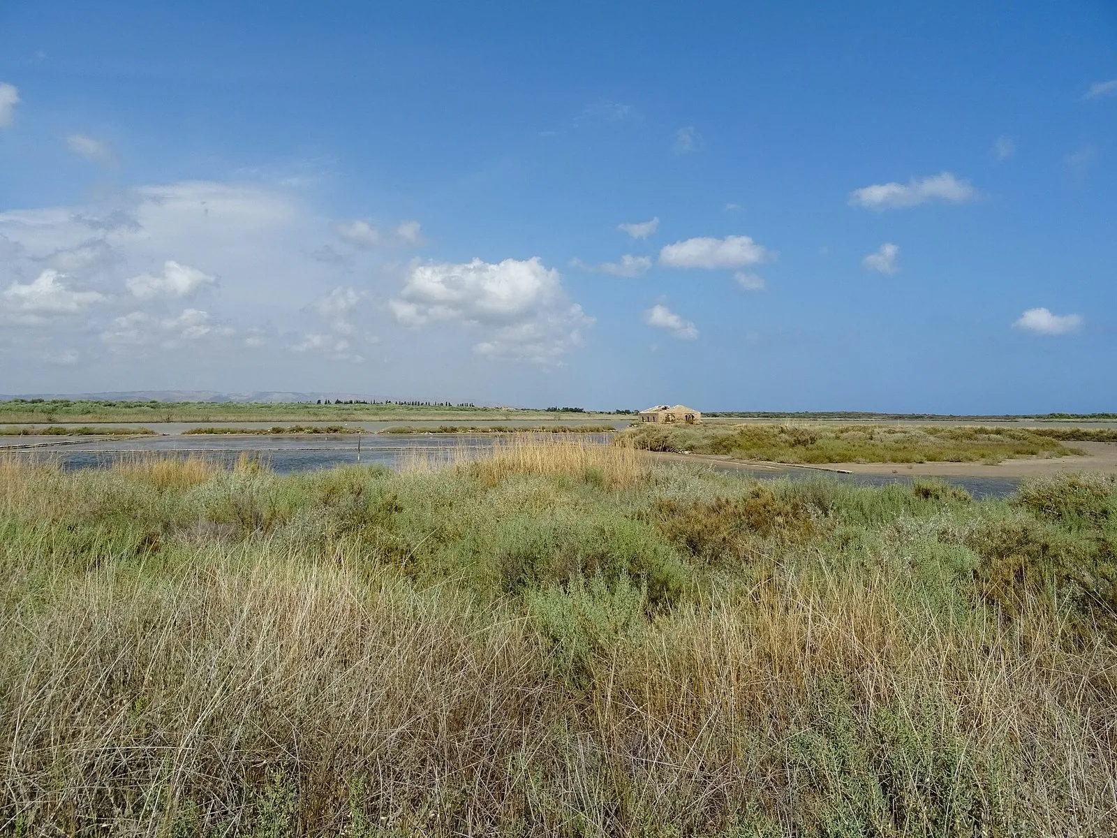 I pantani della Riserva naturale di Vendicari